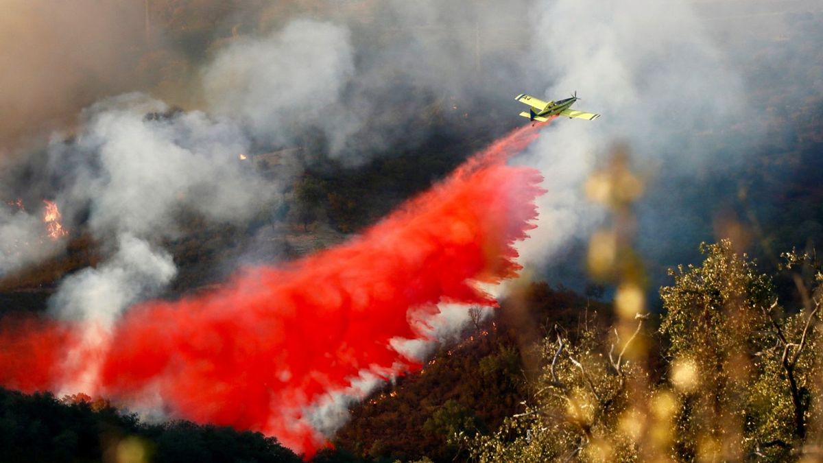 Los incendios de 2019 arrasan más del triple de hectáreas que los de 2018