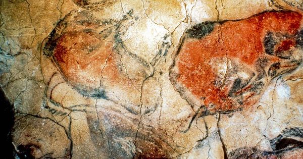 Foto: Pinturas rupestres de la Cueva de Altamira. (EFE)