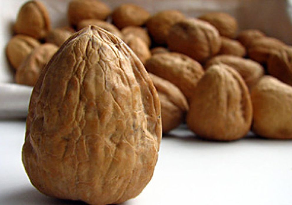 Foto: Comer nueces puede prevenir el cáncer de pecho