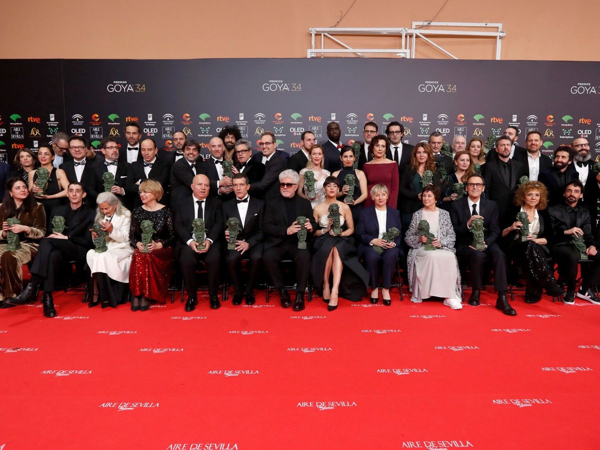 Foto: Foto de familia de la Gala de los Goya 2020. (EFE)