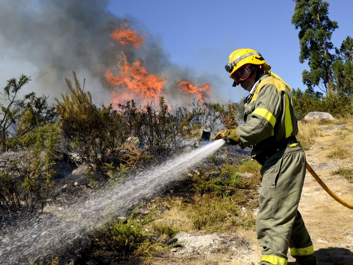 Foto: Un bombero en las labores de extinción en el incendio forestal de O Saviñao. (EFE/Brais Lorenzo)