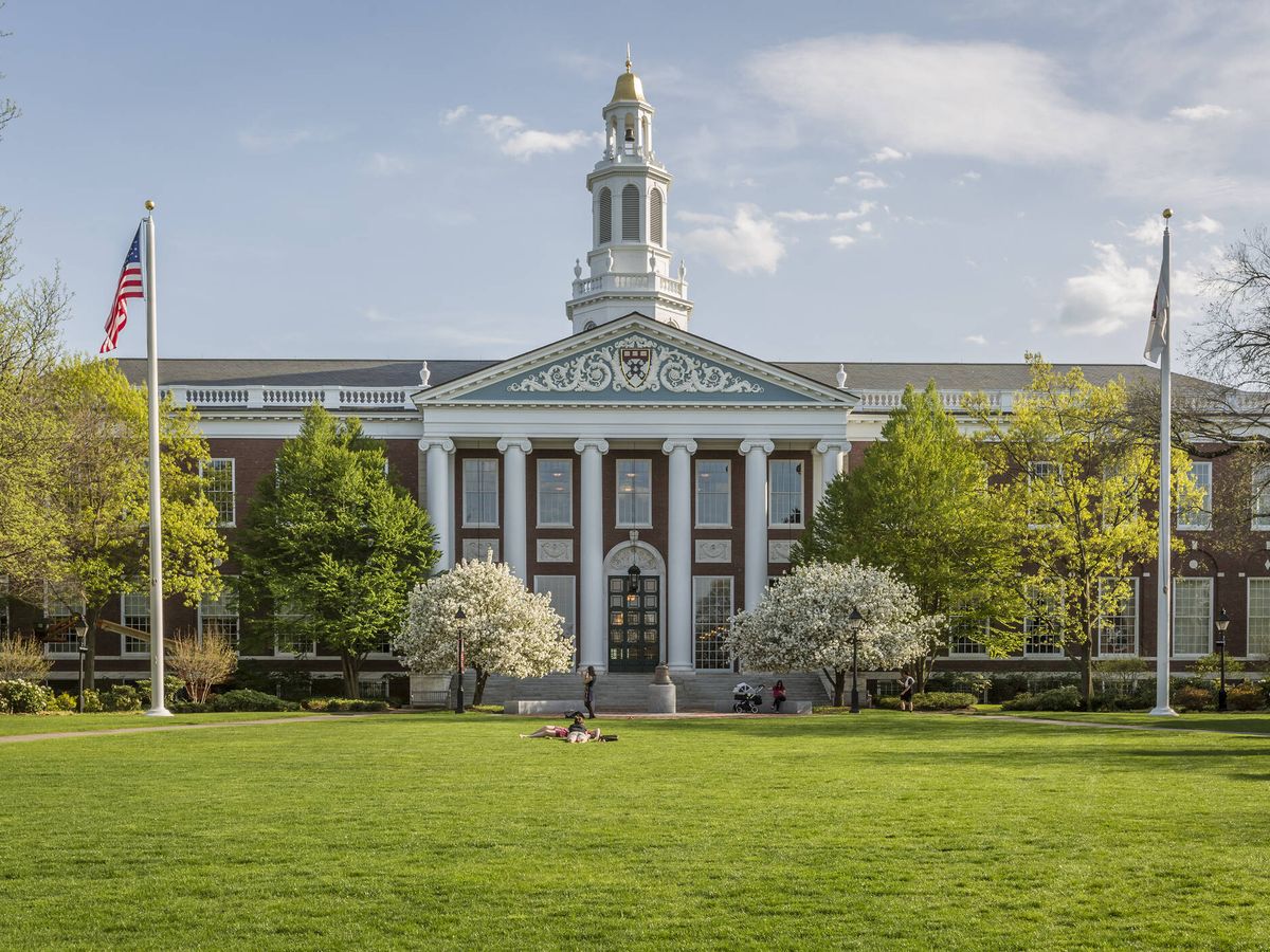 Foto: Universidad de Harvard. (iStock)