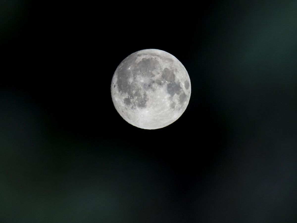 Foto: Así fue la luna llena de mayo o 'Luna de Flores' de 2023 (EFE/Peter Komka)