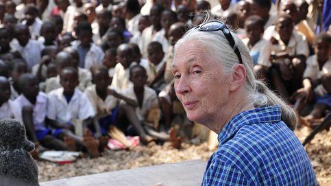 Jane Goodall: Existe una gran falta de respeto a la naturaleza