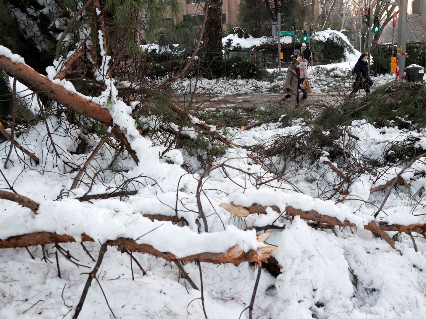 Ramas caídas de varios árboles como consecuencia de la nevada provocada por la borrasca Filomena. (EFE)