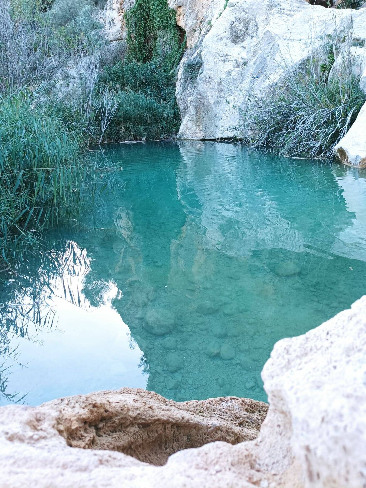 La Cueva de las Palomas alberga esta preciosa charca (Foto: Juan M. Belinchón)