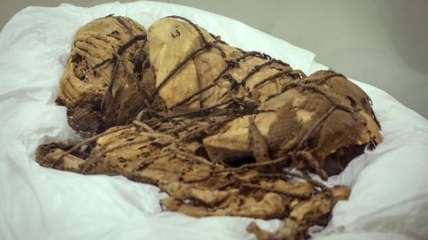 El ADN de piojos 'momificados' revela información genética sobre los humanos