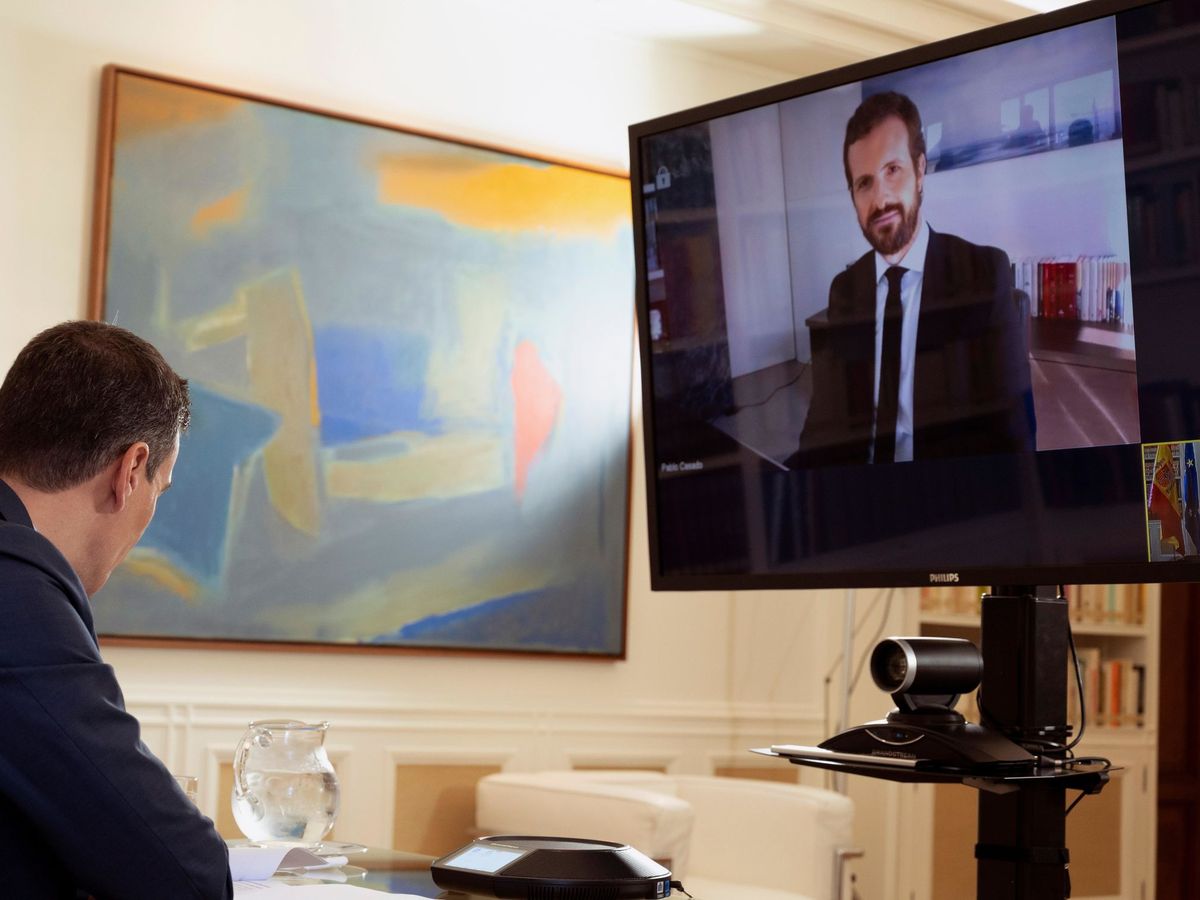 Foto: El presidente del Gobierno, Pedro Sánchez, durante la reunión por videoconferencia que ha mantenidocon el líder del PP, Pablo Casado. (EFE)