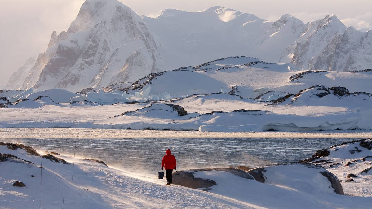 Una investigación desde la Antártida analiza las consecuencias del aislamiento social