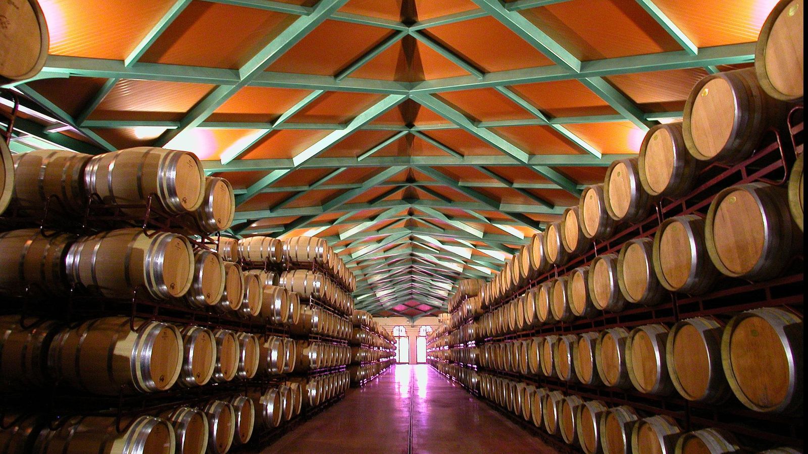 Foto: Interior de la bodega más grande de Aragón. (Foto: Grandes Vinos)