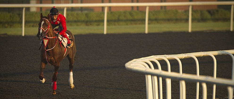 Foto: La familia Al Maktoum reparte 21 millones en nueve carreras de caballos