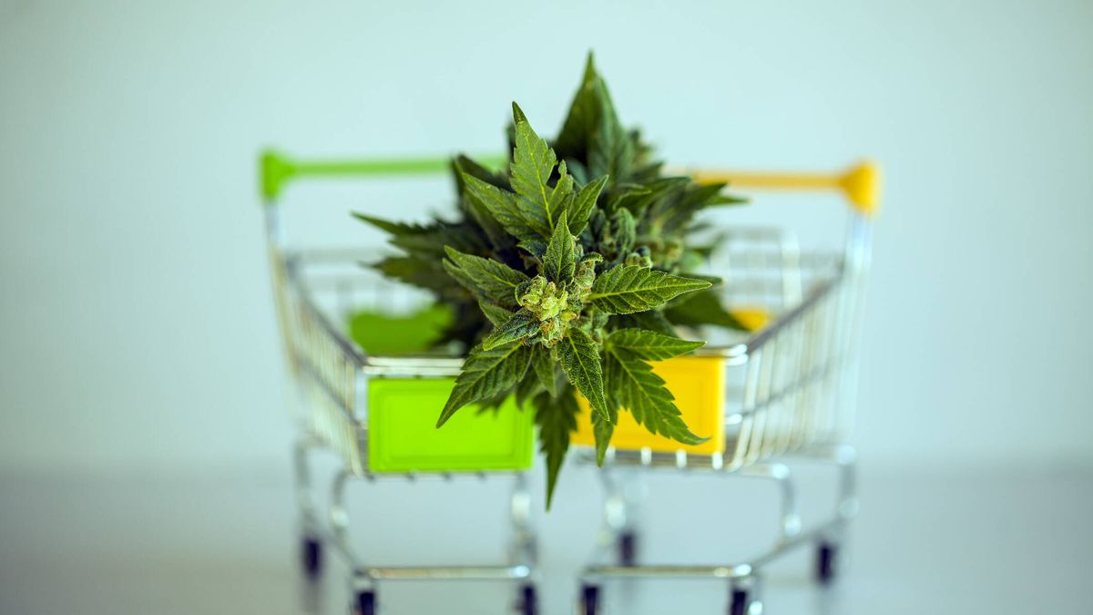 ¿Marihuana en el supermercado? La controvertida moda de los productos con CBD