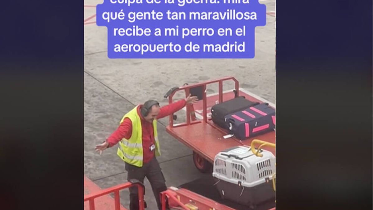 Aterriza en Madrid y ve cómo un trabajador del aeropuerto recibe a su perro: "Qué gente tan maravillosa"