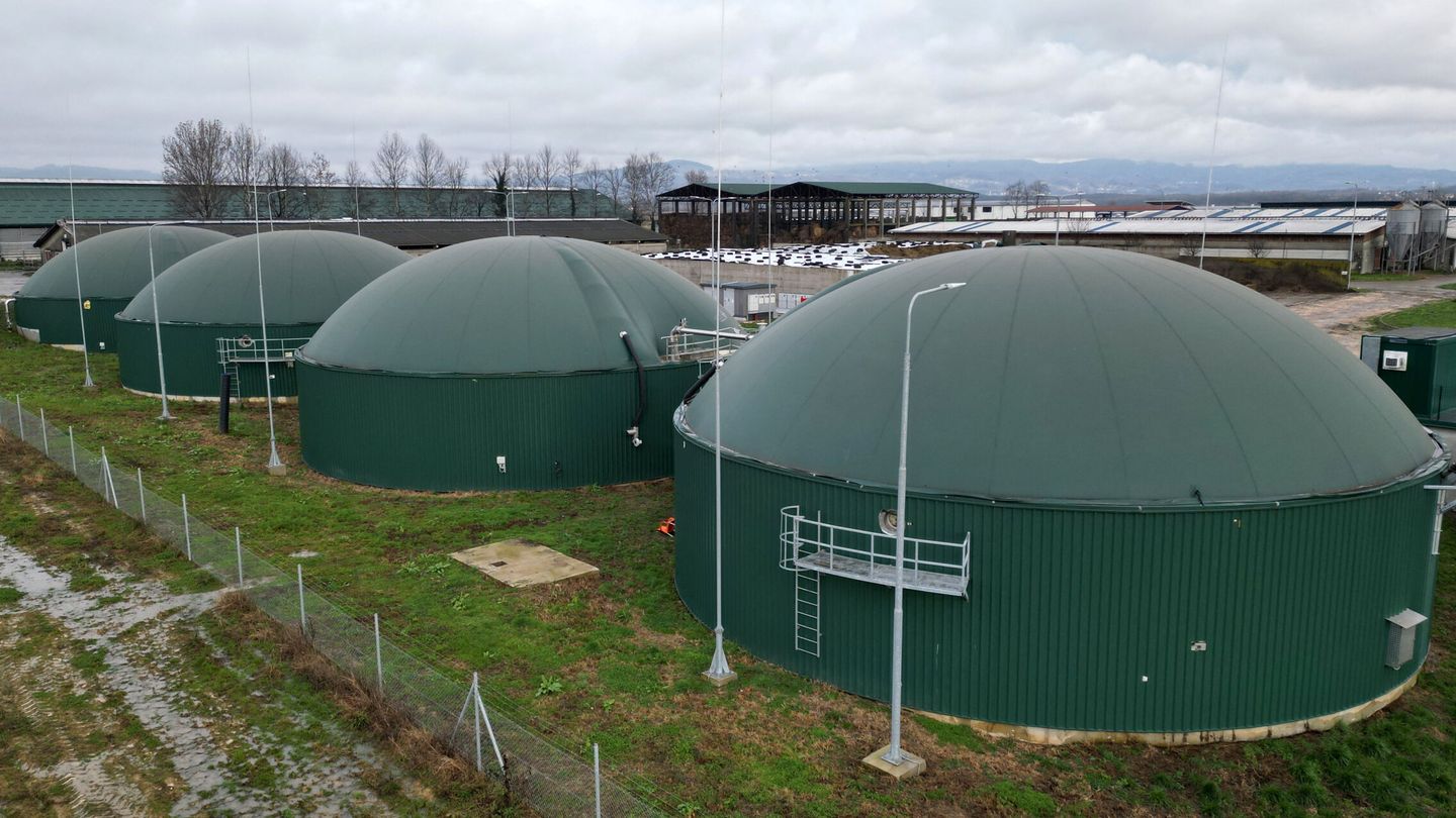 Un proyecto de biogás. Al frente, los digestores de residuos. (Reuters)