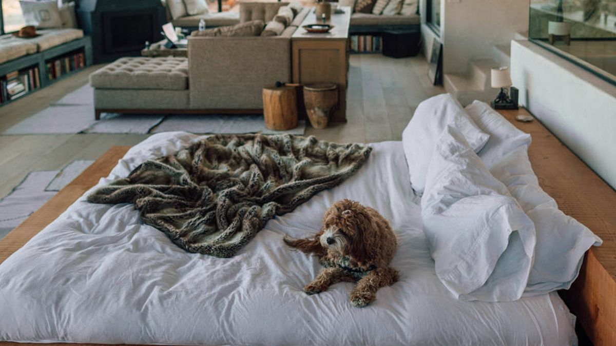 Camas nido, la mejor solución para colocar dos camas en un dormitorio