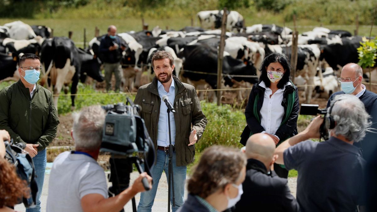Ofensiva parlamentaria del PP para ahondar en la brecha Garzón-Planas por la carne