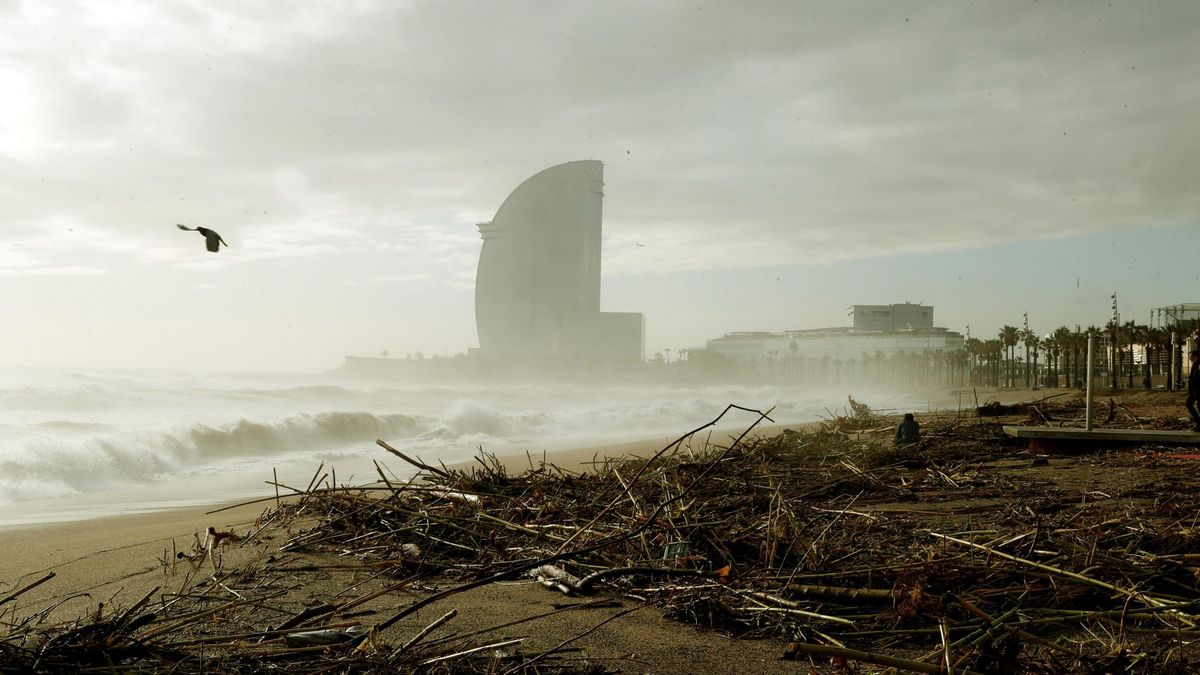 Colau pide que se declare zona catastrófica el litoral de Barcelona con daños de 12 M