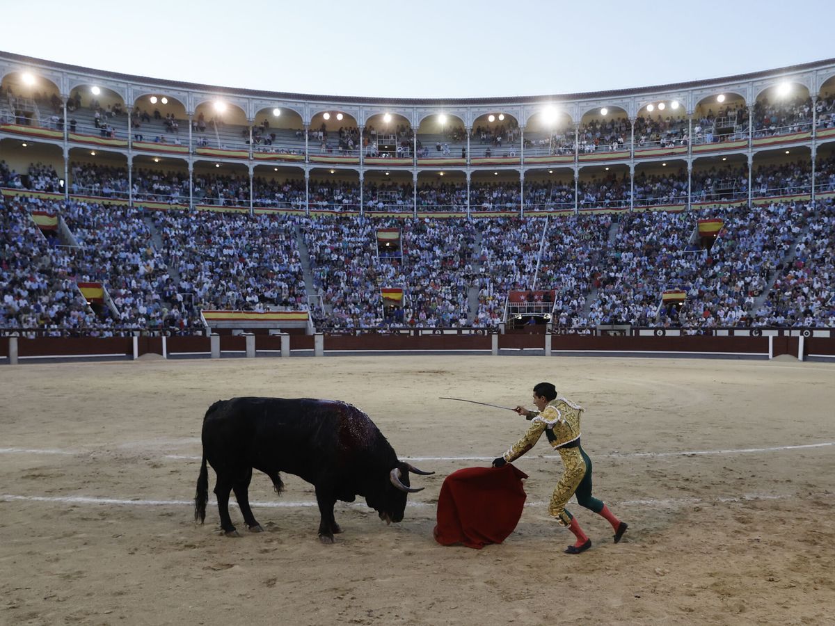 Foto: Alejandro Talavante torea en Las Ventas en la edición del año pasado de la Feria de San Isidro (EFE/Emilio Naranjo)