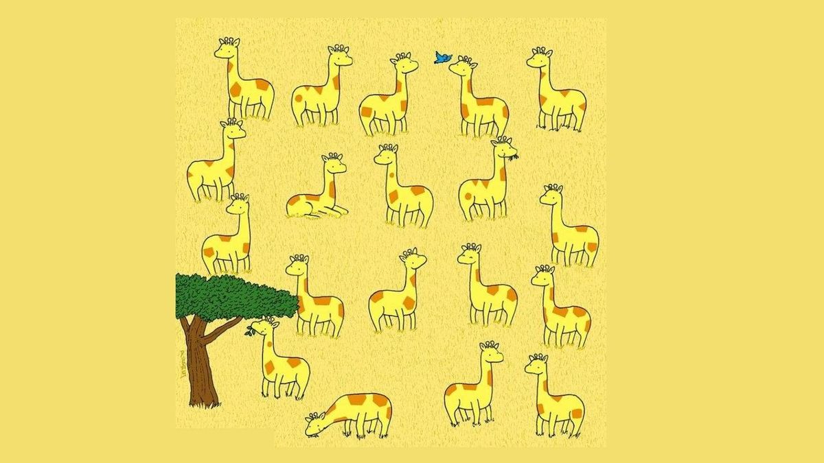 Acertijo viral: ¿eres capaz de encontrar a la jirafa que no tiene pareja?