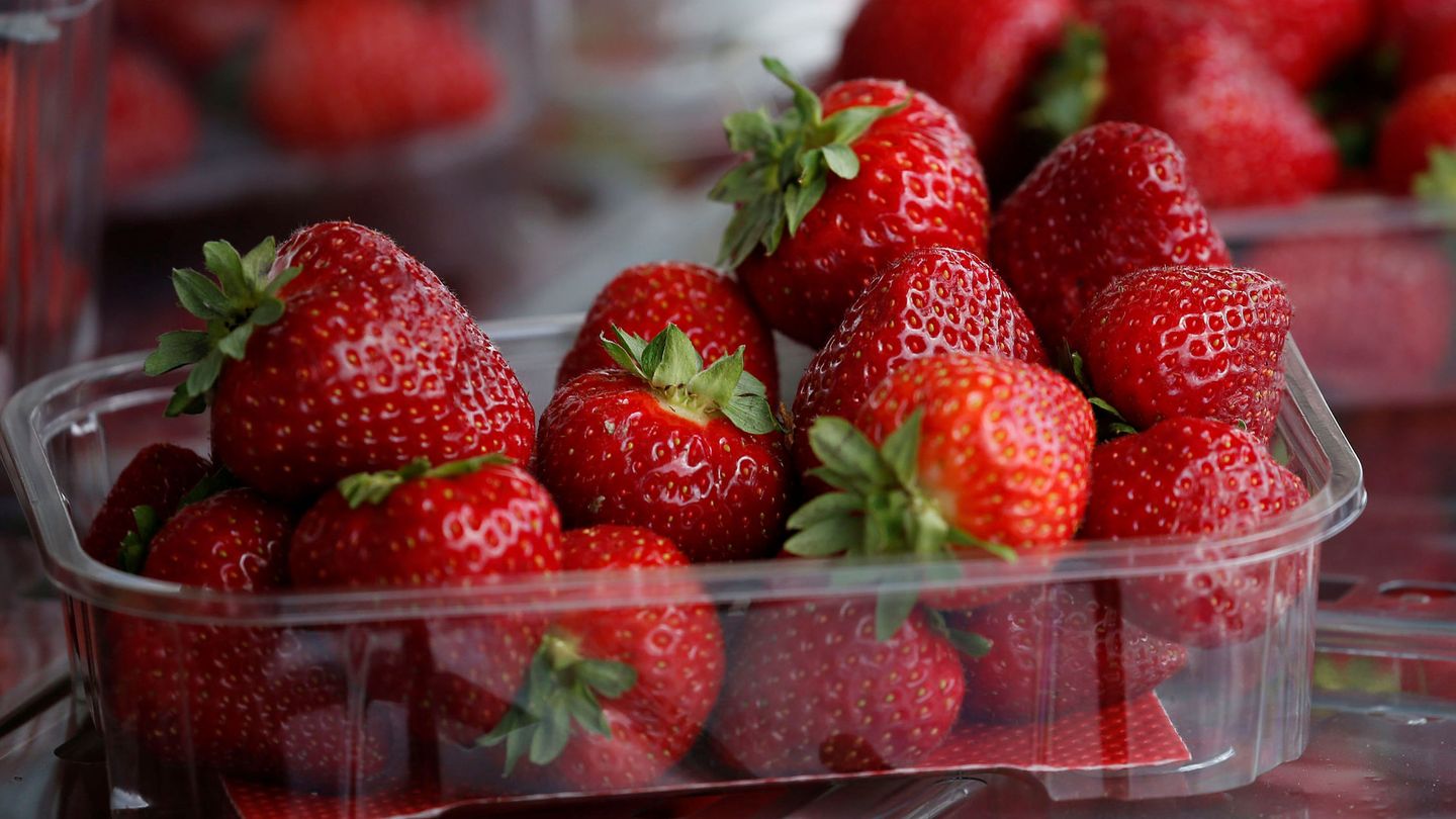 Fresas, envasadas para su venta (Reuters: Andrew Yates)