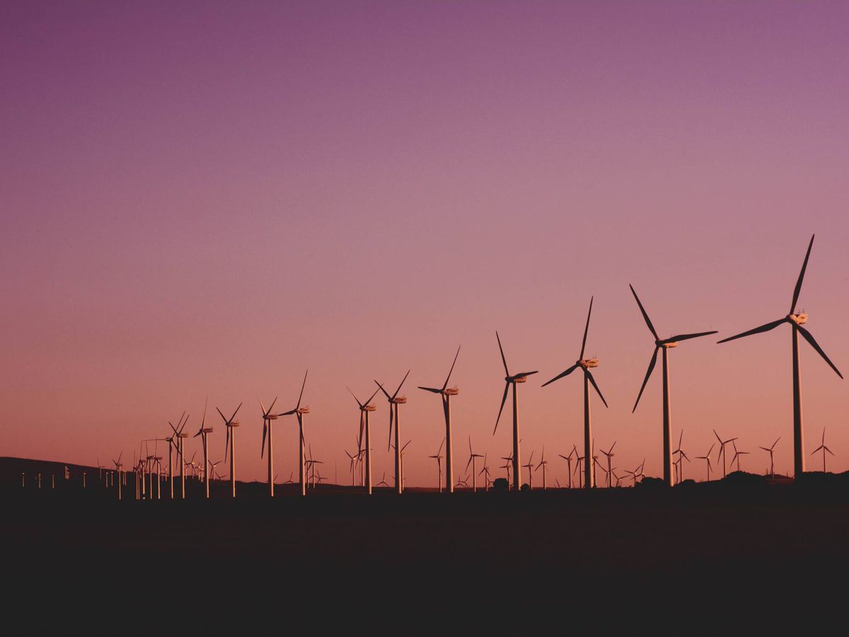 Foto: Las energías renovables fueron la fuente de energía más barata del mundo en 2020, según un informe de IRENA