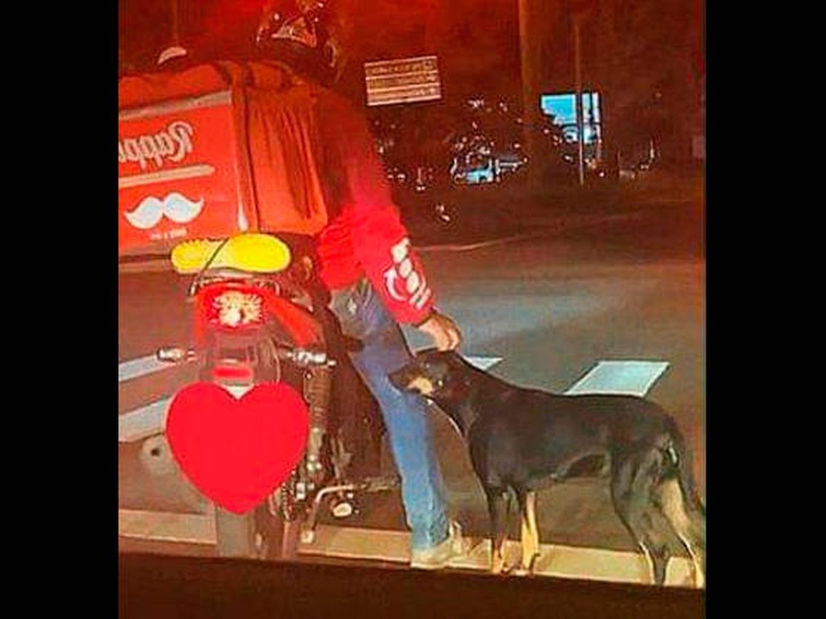 Foto: El perro fue a reclamar un cariño... y lo consiguió para siempre (Facebook)