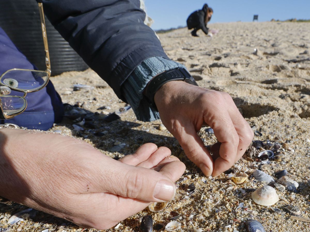 Foto: Un voluntario recoge 'pellets' uno a uno con sus manos este viernes en la playa de Balieiros, en Corrubedo, A Coruña. (EFE/Lavandeira jr)
