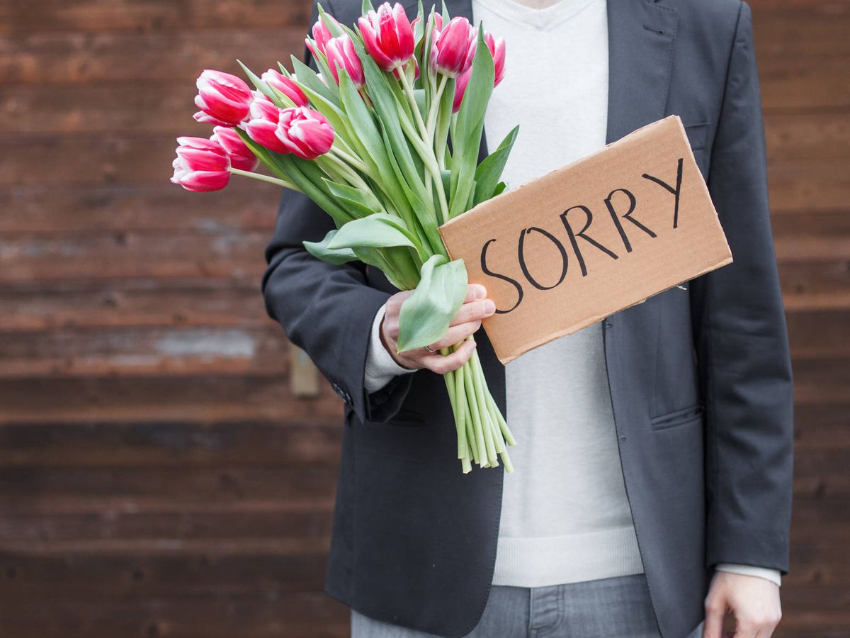 Amplia gama enaguas Clan El arte de disculparse: así puedes pedir perdón y quedar como un caballero