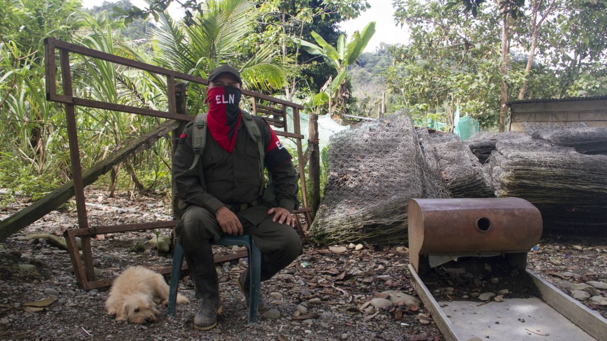 En los campos del ELN: así se prepara la última gran guerrilla de Colombia