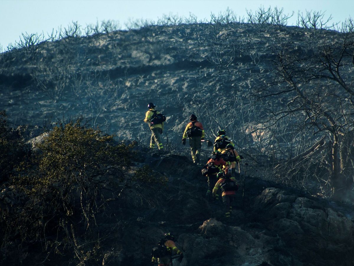 Foto: Imagen reciente de bomberos del Plan Infoca en un incendio en Granada. (EFE)