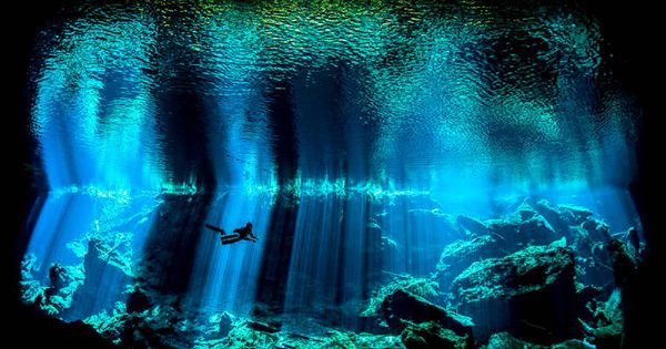 Foto: Buzo en el fondo del mar  (Nick Blake, Reino Unido)