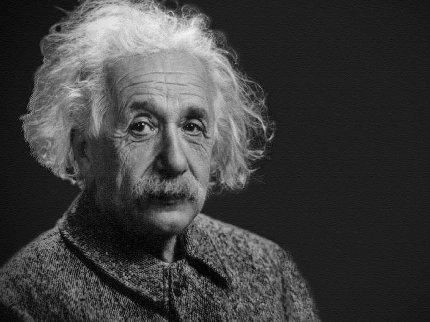 Einstein. (Pixabay)