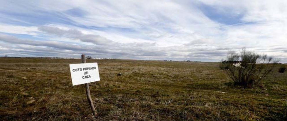 Foto: Los propietarios del suelo se agrupan para intentar sacar 450 millones por Eurovegas
