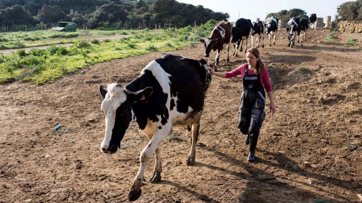 Greenpeace: la España rural "es vital" para enfrentar el cambio climático