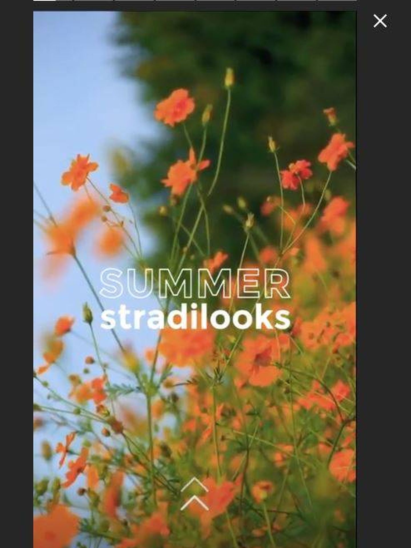 Instastories Summer Stradilooks de Stradivarius.