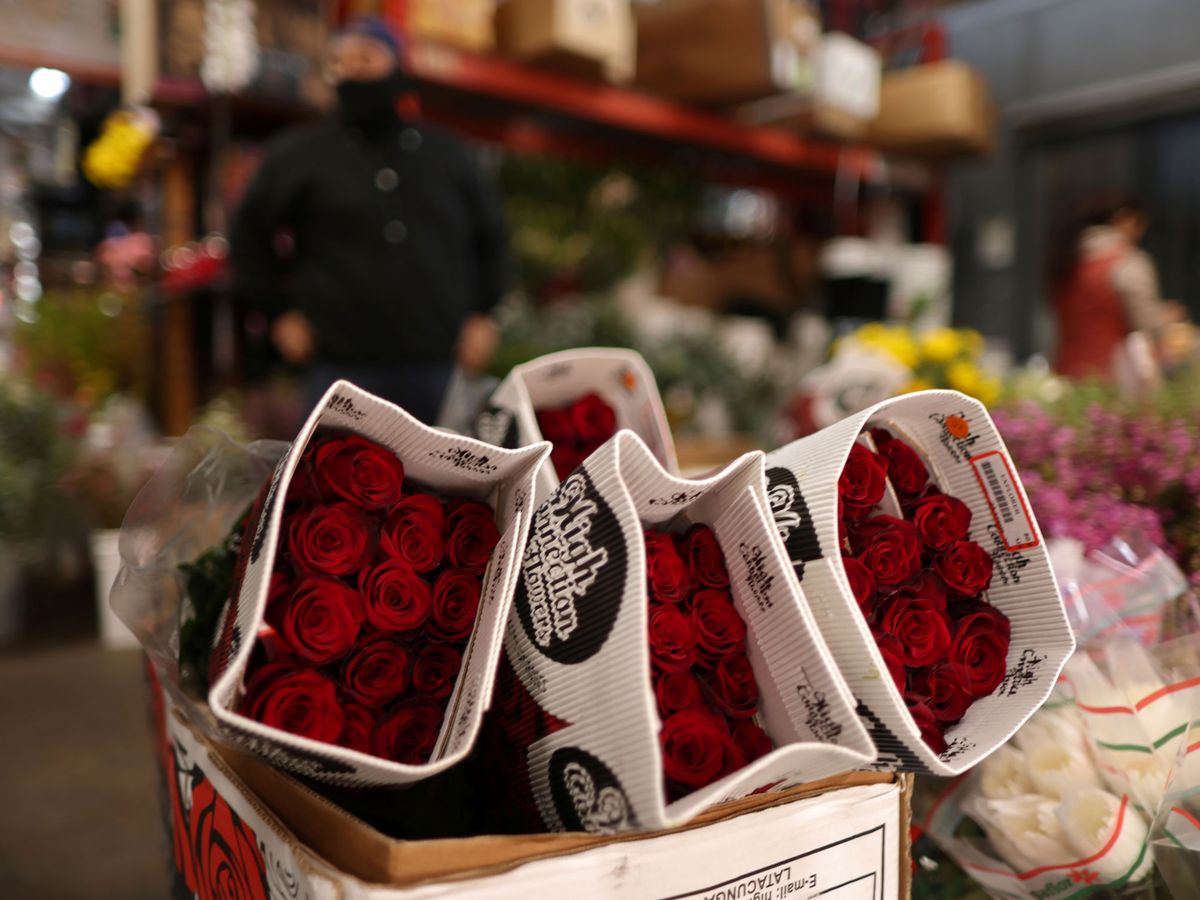 Foto: Ramos de rosas rojas por San Valentín.