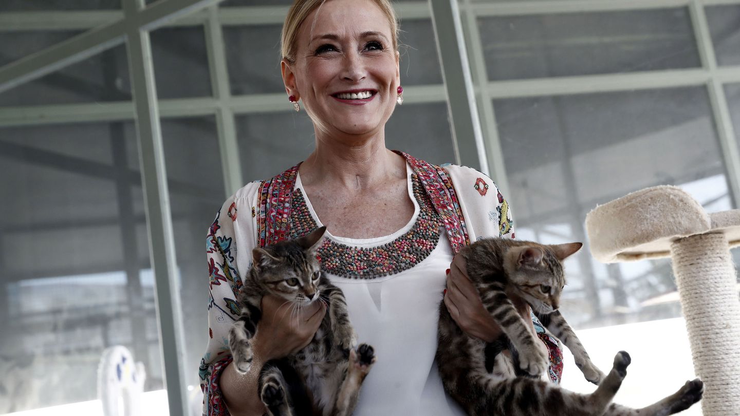 La presidenta de la Comunidad de Madrid, Cristina Cifuentes, sostiene dos gatos. (EFE)