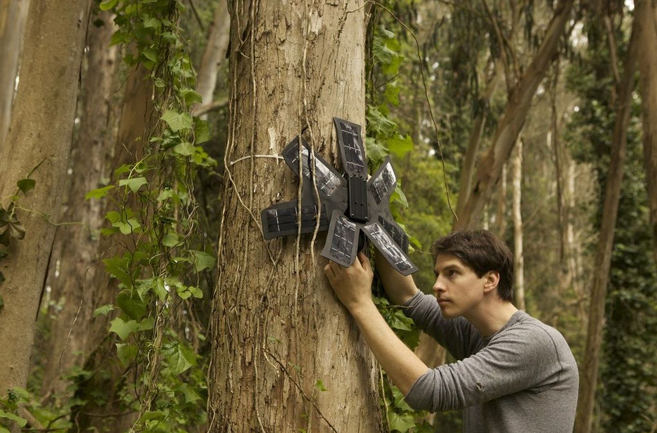 Móviles para alertar de la tala de árboles. (Rainforest Connection)