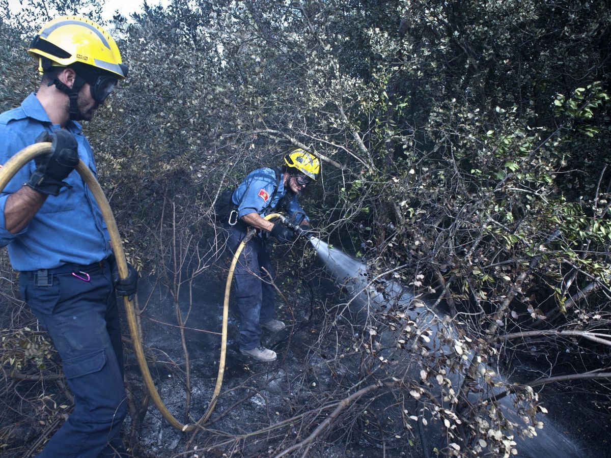 Foto: Bomberos de la Generalitat trabajando en un incendio. (EFE/Robin Townsend)