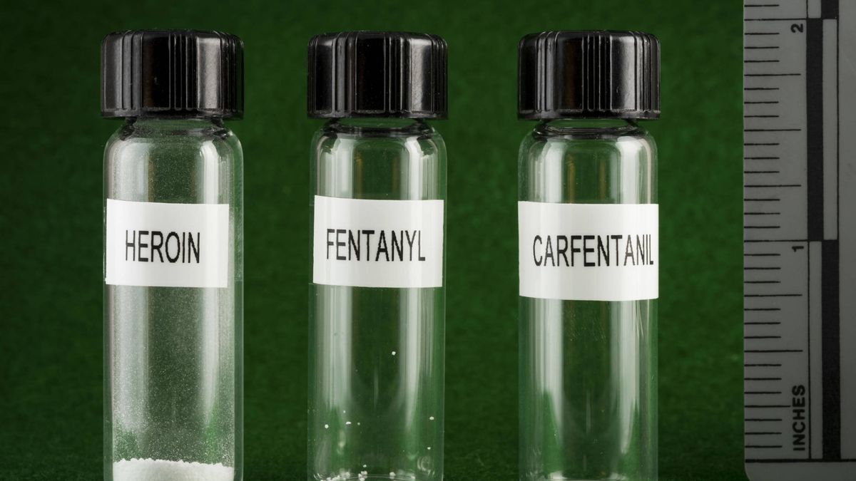 Aquí viene el fentanilo: este opioide sintético ya ha matado a miles de personas
