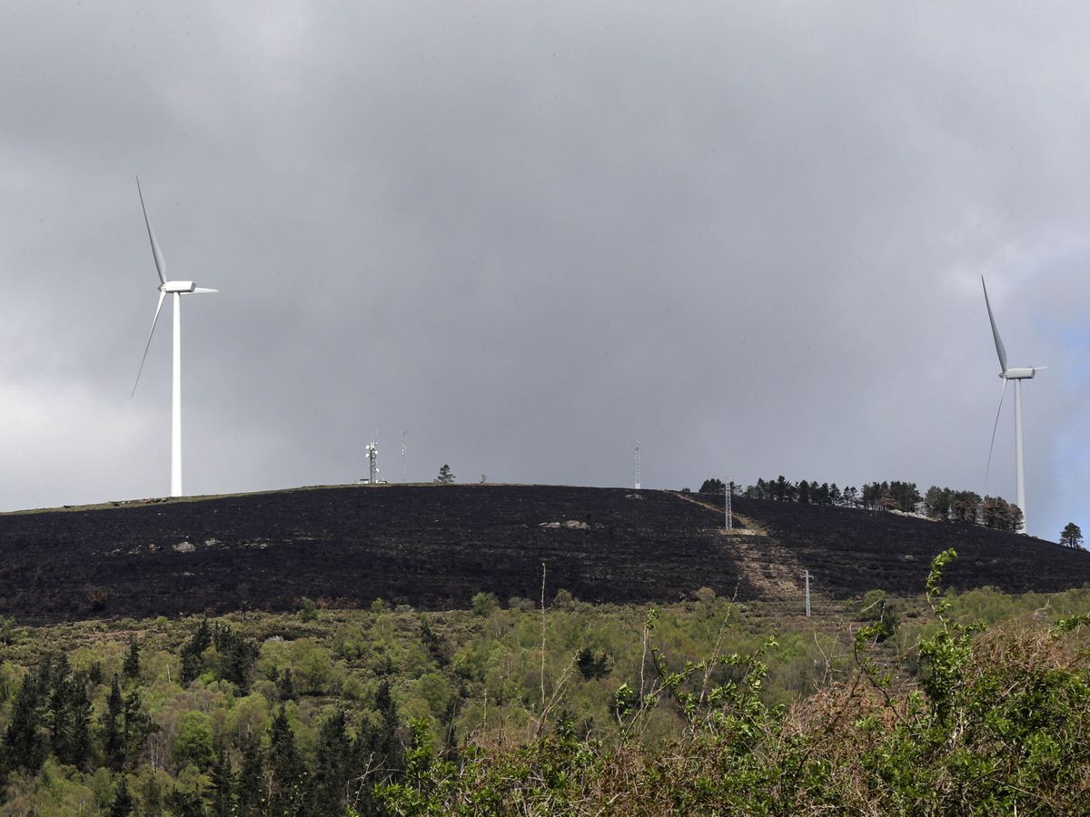 Foto: Vista de una zona quemada junto a un parque eólico en Tineo. (EFE/J. L. Cereijido)