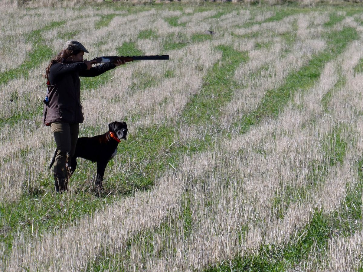 Foto: Un cazador con su perro y su arma. (EFE/Beldad)