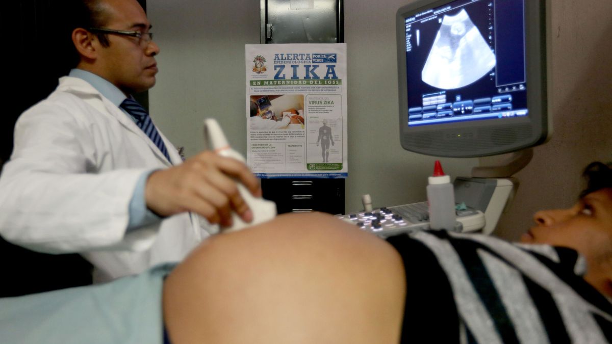 Sanidad confirma el primer caso de zika en una embarazada en España