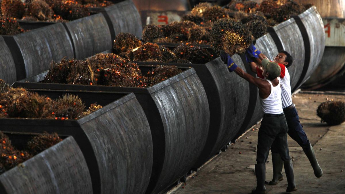 España está detrás del problema del aceite de palma (y no tiene que ver con la comida)