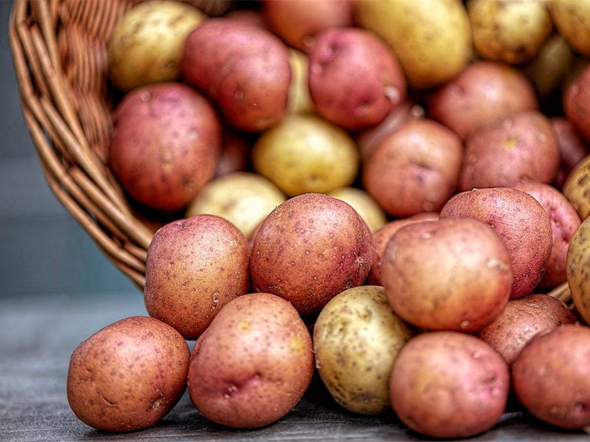 Foto: China cultiva la primera patata del mundo mediante semillas (Pixabay)
