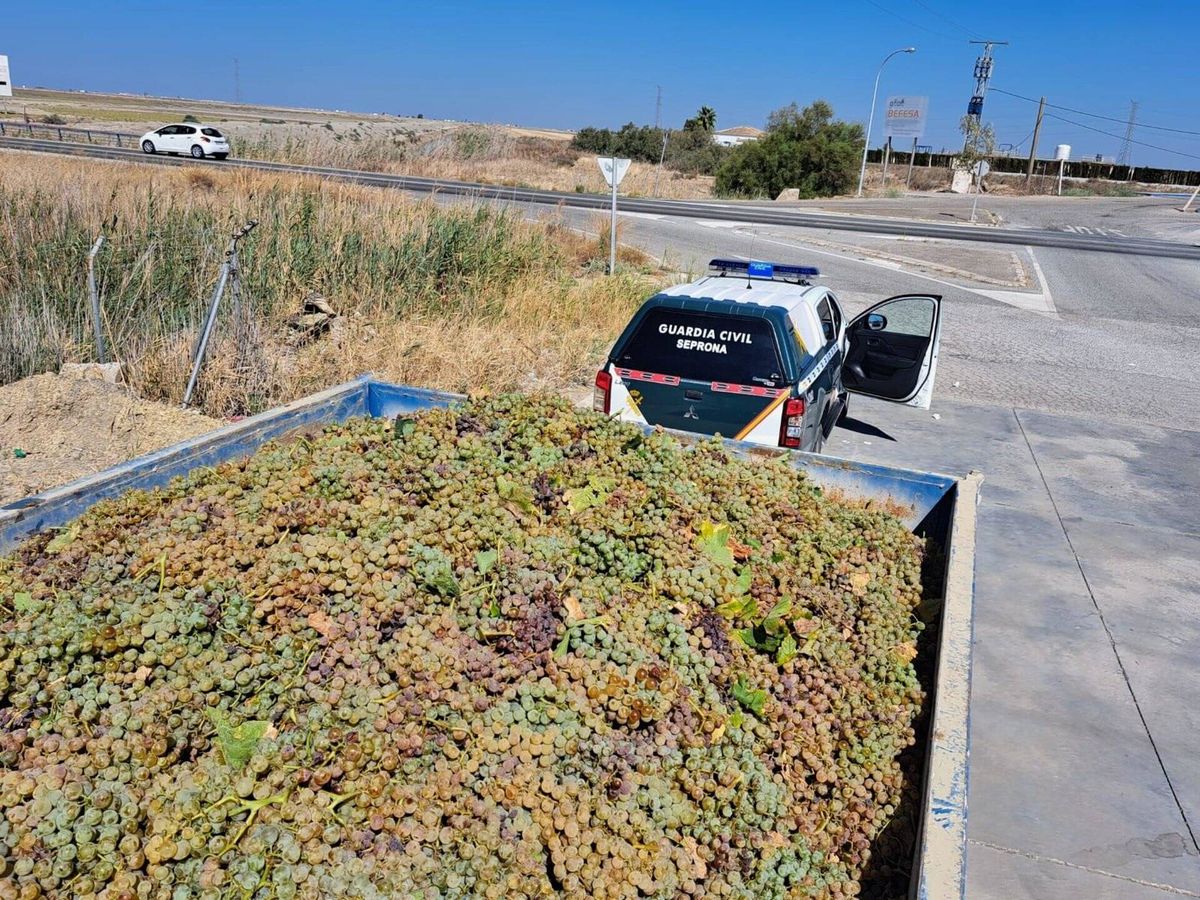 Foto: La Guardia Civil interviene varios camiones que intentaban introducir uva y vino de otros territorios en el Marco de Jerez. (G. C.)