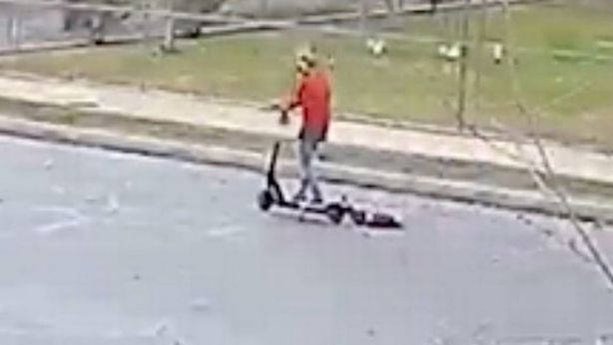 Graban a una mujer arrastrando con un patinete a un cachorro hasta que sangra 