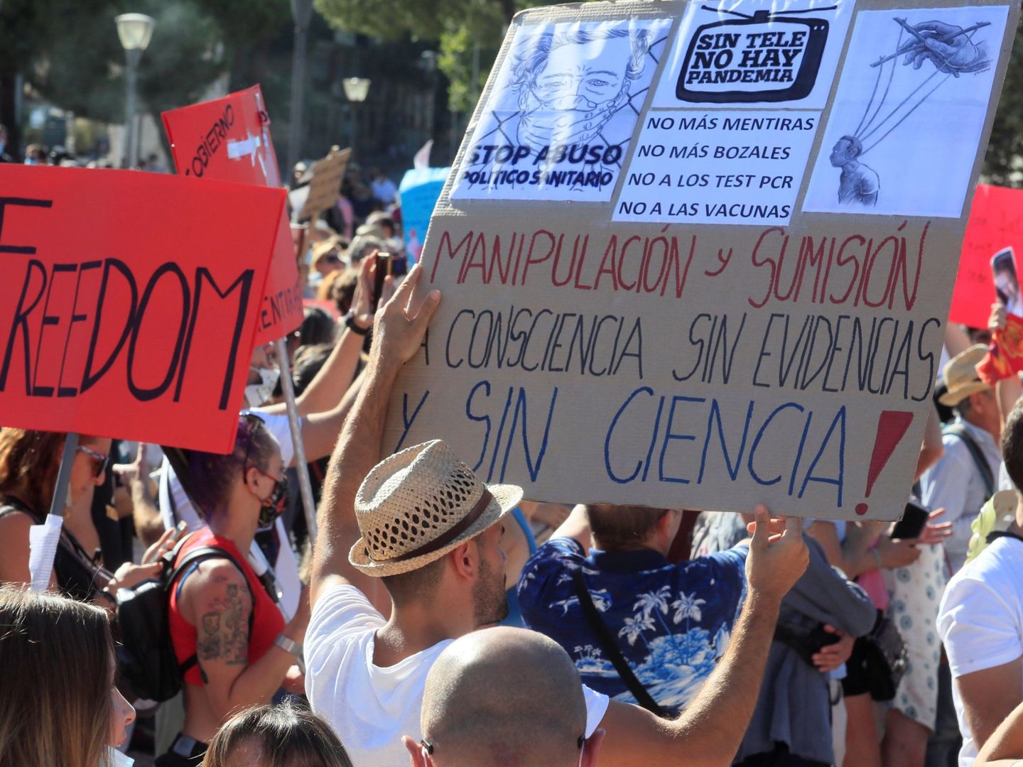 Vista de los asistentes a la manifestación negacionista del covid-19 en la plaza de Colón de Madrid. (EFE)