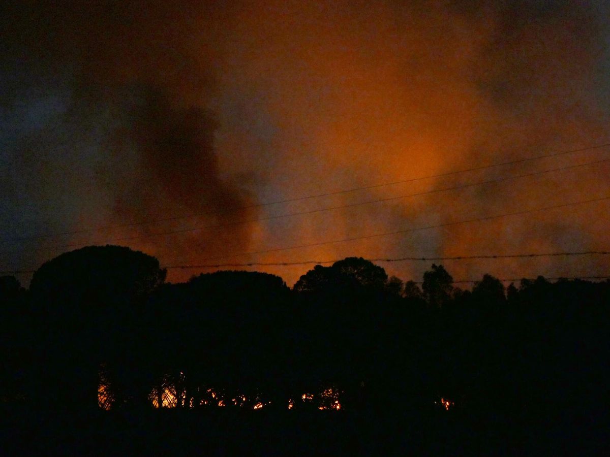 Foto: Imagen de archivo de un incendio en el paraje "El Corchito" de Bonares, en Huelva. (EFE/David Arjona)