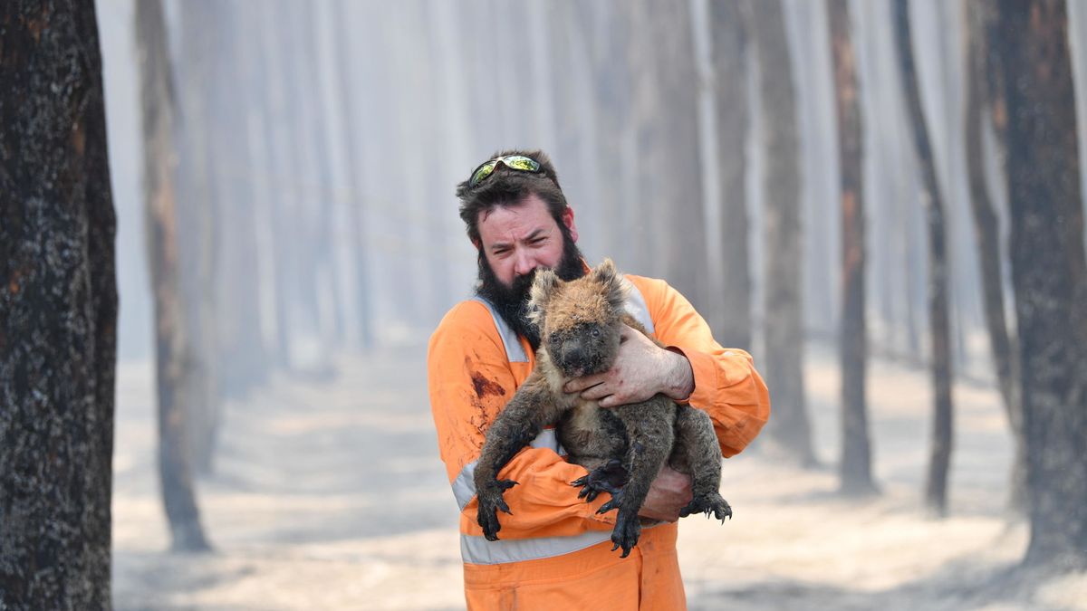 "Esto es solo el principio": todo lo que se esconde detrás de los incendios de Australia